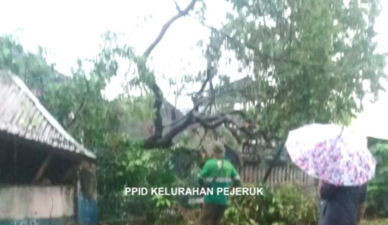 Warga  Berserta  BPBD dan  Dinas  LH Sigap  Hadapi  Pohon  Tumbang